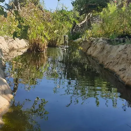 Quinta Castico مزرعة للإقامة سيسيمبرا