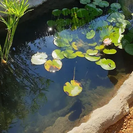 مزرعة للإقامة Quinta Castico *