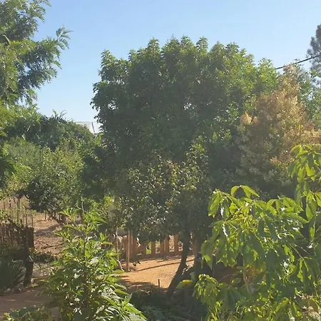 Quinta Castico سيسيمبرا