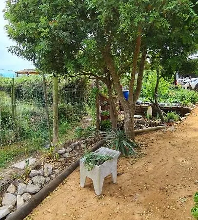 Quinta Castico مزرعة للإقامة سيسيمبرا