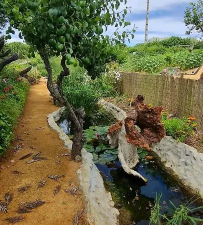 Quinta Castico مزرعة للإقامة سيسيمبرا