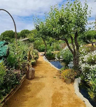 Quinta Castico *