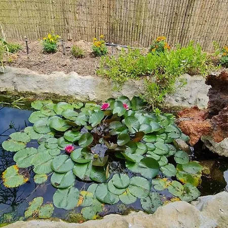 مزرعة للإقامة Quinta Castico