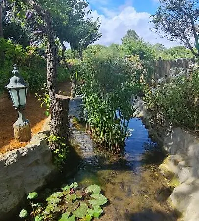 مزرعة للإقامة Quinta Castico *