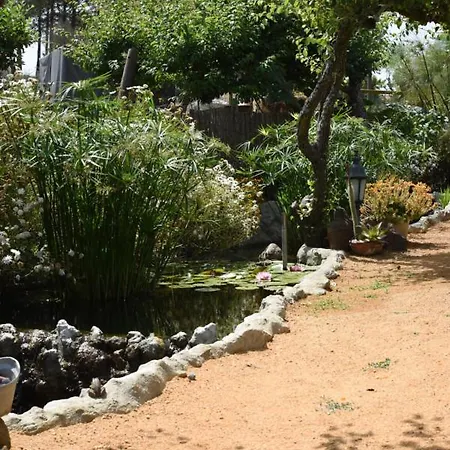 مزرعة للإقامة Quinta Castico *