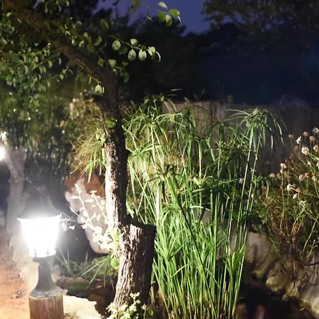 Quinta Castico مزرعة للإقامة سيسيمبرا