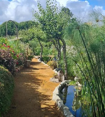 Quinta Castico *