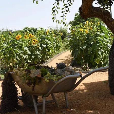 مزرعة للإقامة Quinta Castico *