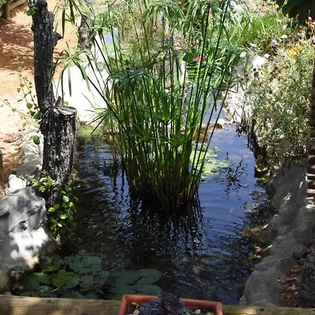 Quinta Castico مزرعة للإقامة سيسيمبرا