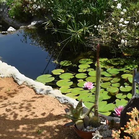 مزرعة للإقامة Quinta Castico *