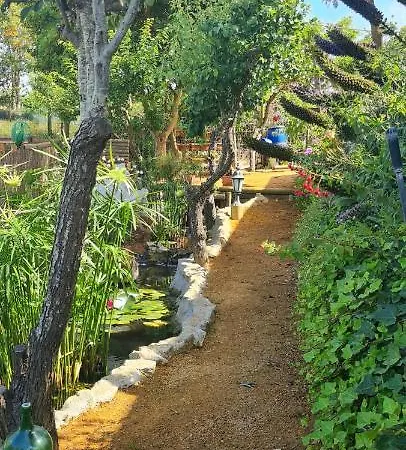 Quinta Castico * سيسيمبرا