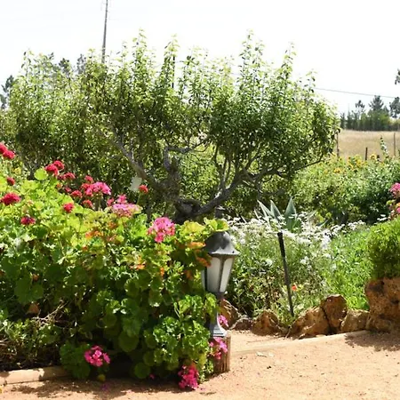 Quinta Castico