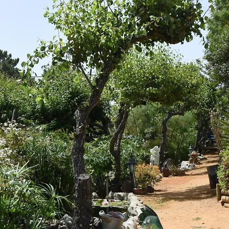 Quinta Castico * Sesimbra